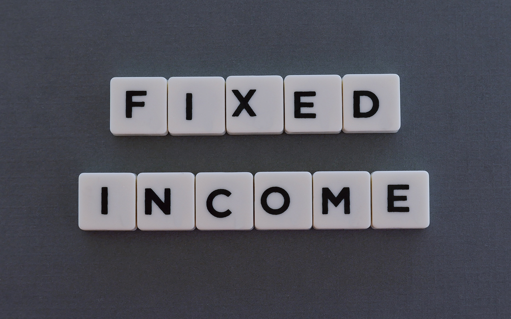 what-is-included-in-your-fixed-income-allocation-scripbox